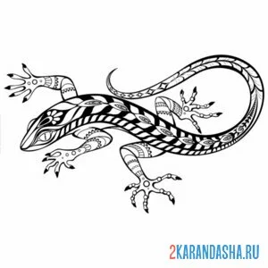 Раскраска ящерица с узорами