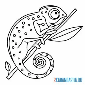 Раскраска хамелеон притаился