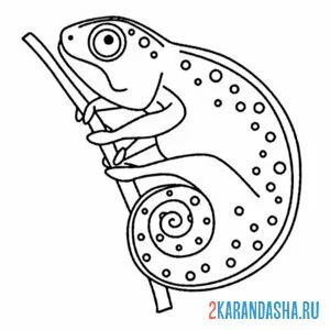 Раскраска хамелеон скрывается