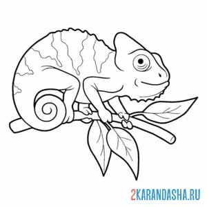 Раскраска хамелеон с листьями