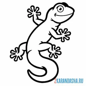 Раскраска хорошенькая ящерица