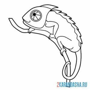 Раскраска хамелеон на маленькой ветке