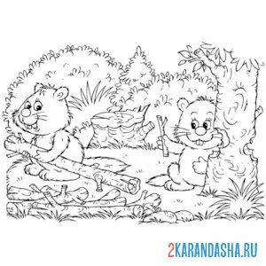 Раскраска бобры и деревья