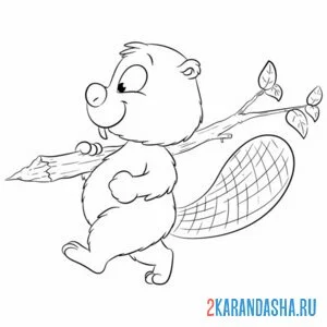 Раскраска бобер и ветка