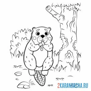Раскраска бобр в лесу