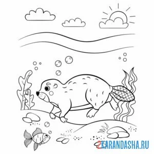 Раскраска бобр под водой