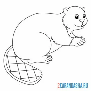 Раскраска хвост бобра