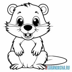 Раскраска мультяшный бобр