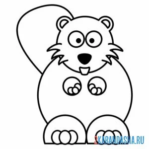 Раскраска бобр смешной