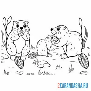 Раскраска семья бобры