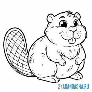 Раскраска милый бобр