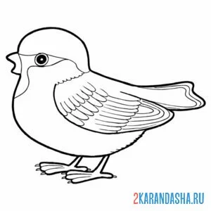 Раскраска воробей