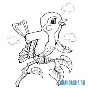 Раскраска воробей на ветке