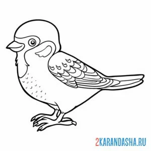 Раскраска воробей мультик