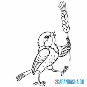 Раскраска воробей с колоском