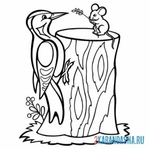 Раскраска дятел и мышка