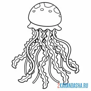 Раскраска настоящая медуза