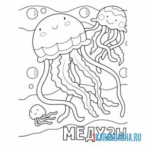 Раскраска медузы