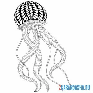 Раскраска медуза для антистресс