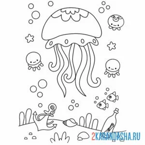 Раскраска много медуз плавает