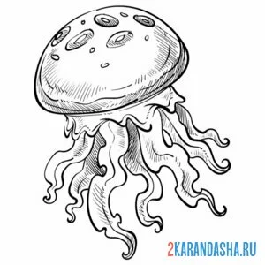 Раскраска медуза фото
