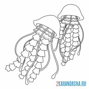 Раскраска плавающие медузы