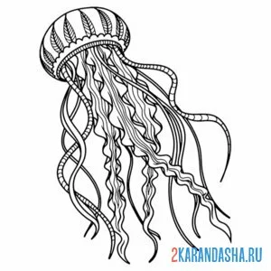 Раскраска медуза 3d