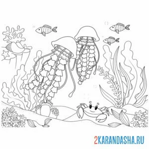 Раскраска подводный мир с медузами