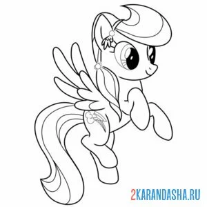Раскраска радуга дэш