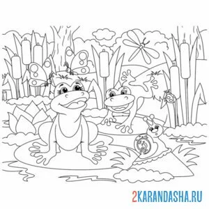 Раскраска болото с лягушками и улитками