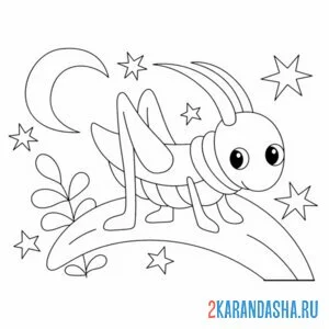 Раскраска кузнечик на травке