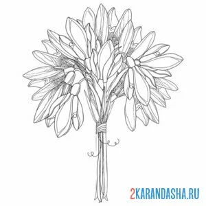 Раскраска подснежники букет