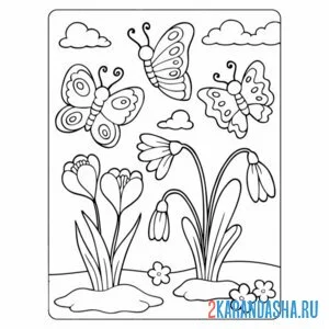 Раскраска бабочки и подснежники