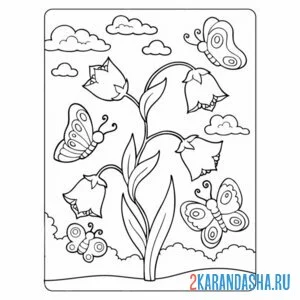 Раскраска бабочки тюльпаны колокольчики