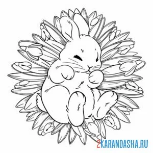 Раскраска зайчик и подснежники