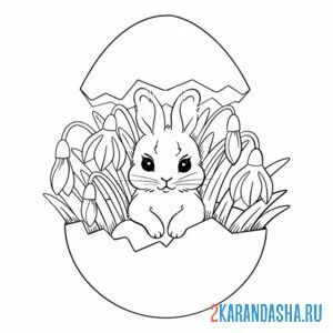 Раскраска подснежники и зайчик