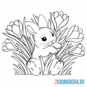 Раскраска подснежники и милый зайчик