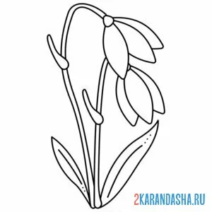Раскраска подснежники просыпаются