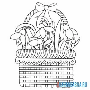 Раскраска корзина и цветы подснежники