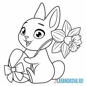 Раскраска зайчик и нарцисс