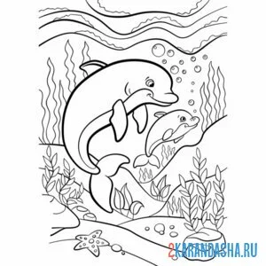 Раскраска дельфины мама и малыш