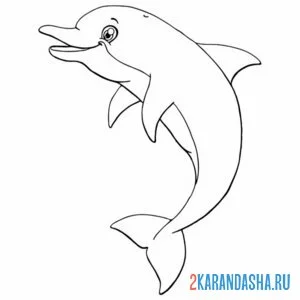 Раскраска красивый молодой дельфин