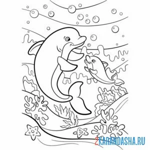 Раскраска семья дельфинов