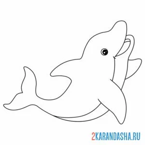 Раскраска очень красивый дельфин