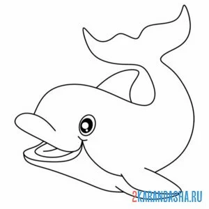 Раскраска улыбчивый дельфин