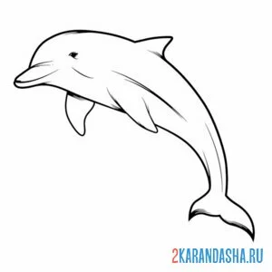 Раскраска одинокий дельфин