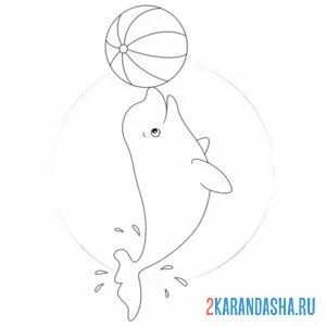 Раскраска дельфин с мячом
