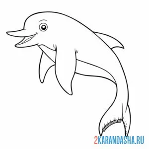 Раскраска улыбака дельфин