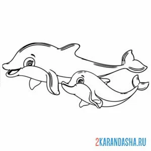 Раскраска семья дельфины