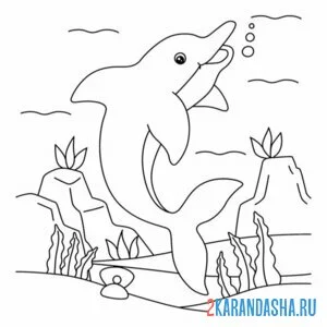 Раскраска морской дельфин